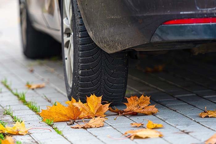 colorful autumn leaves on pavement with car wheel