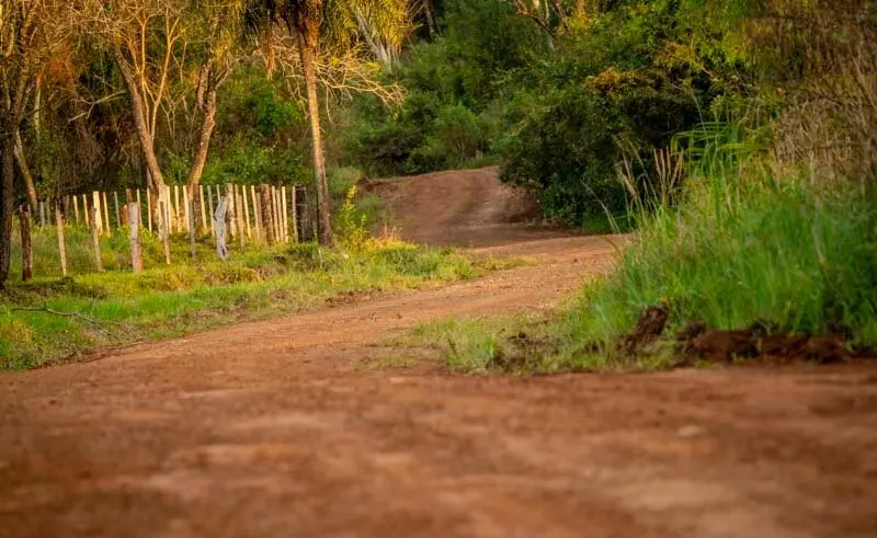 m-sport-previo-paraguay