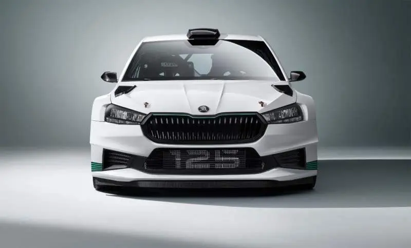 Skoda FABIA_1