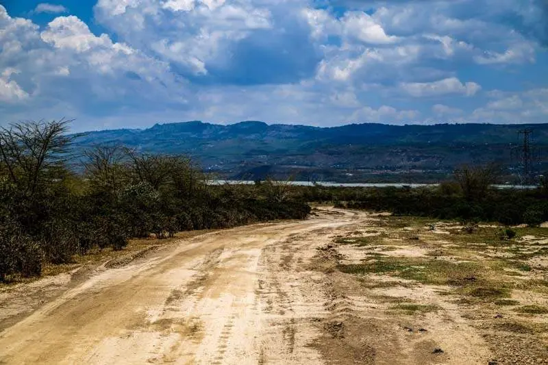 M-Sport_previo safari_1