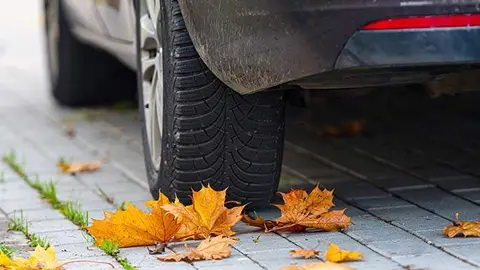 colorful autumn leaves on pavement with car wheel