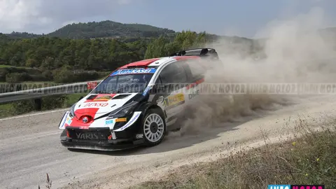 125 copia
