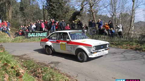 521 copia
