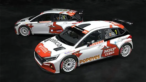Rallycar_Pardo_Vinyes_1