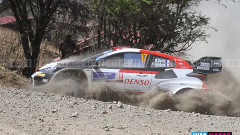 rallye mexico-galeria