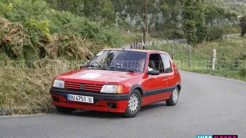 49 copia