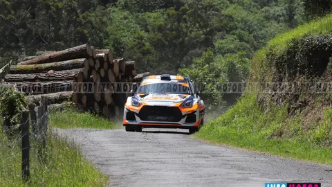 184 copia