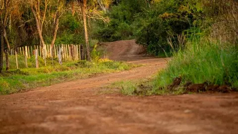 m-sport-previo-paraguay