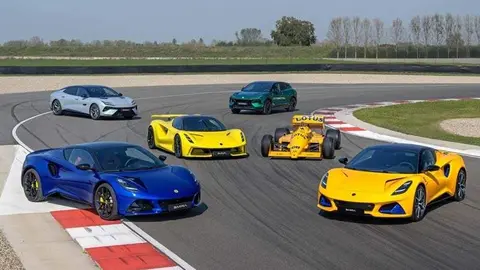 lotus_1