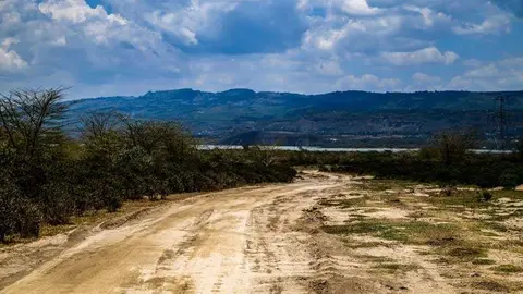 M-Sport_previo safari_1