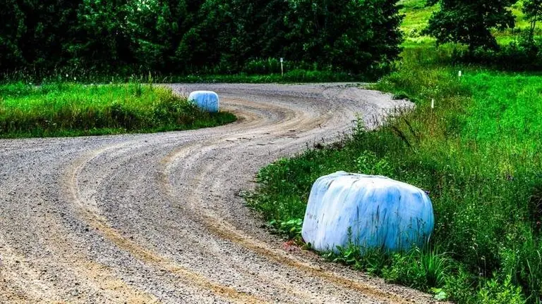 M-Sport está listo para lanzarse a los bosques de alta velocidad del Rallye de Estonia