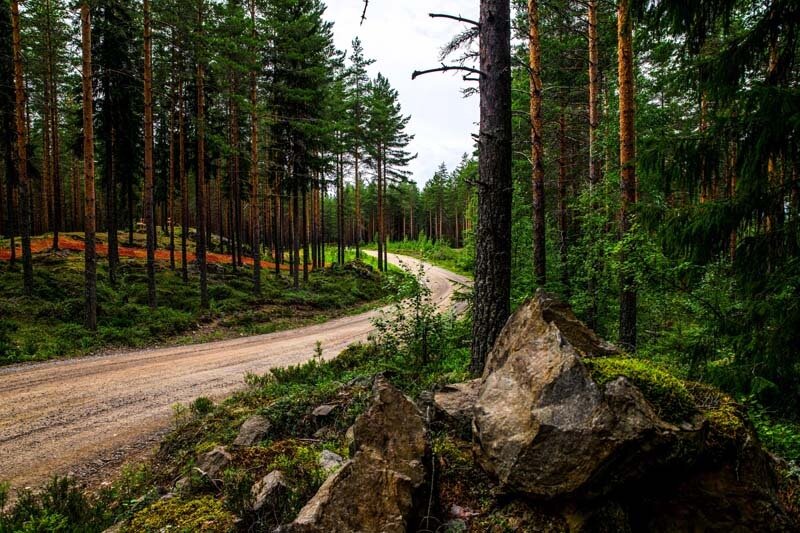 m-sport_finlandia_3
